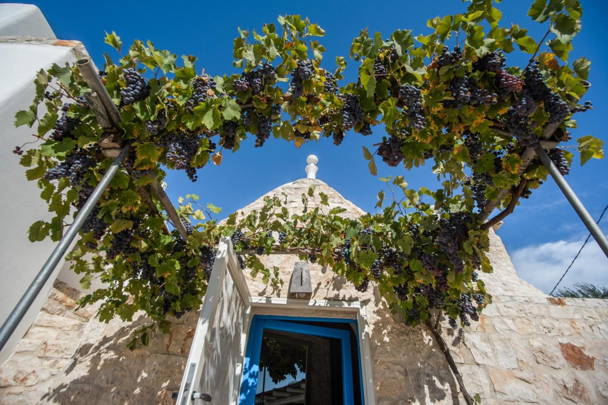 Villa Trullolive Ostuni Exterior foto